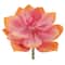 Medium Pink &#x26; Orange Echeveria Pick by Ashland&#xAE;